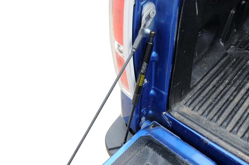 Dee Zee 04-14 Ford F150 Tailgate Assist Shock