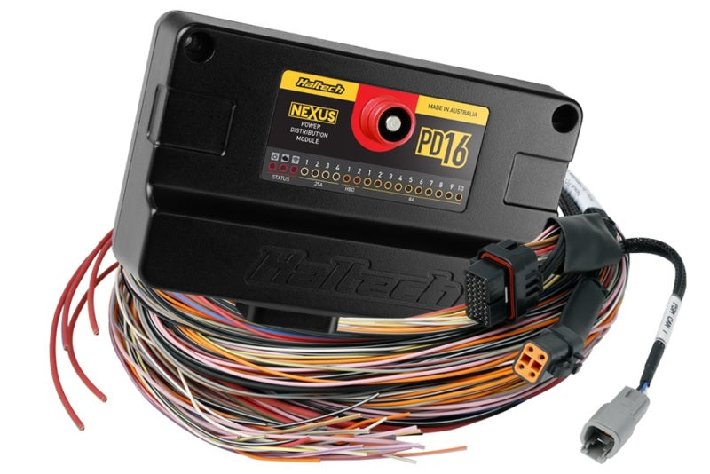 Haltech NEXUS PD16 + Flying Lead Harness - 5m (16ft)